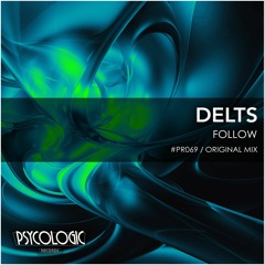 Delts - Follow (Original Mix) #PR069