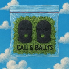 CALI & BALLY'S - DS ON THE BEAT
