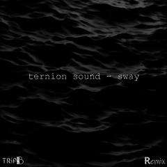 TERNION SOUND - SWAY (TRiP B REMIX)