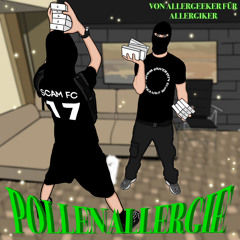 POLLENALLERGIE (FEAT. 2CUPCEO)