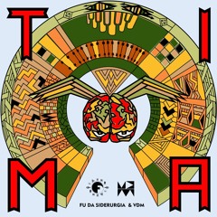 Fu Da Siderurgia X VDM - Tima