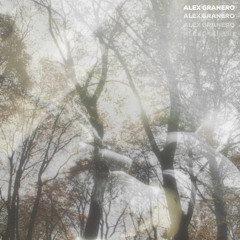 Afónico