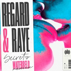 Regard & RAYE - Secrets (Waterbeld Remix)