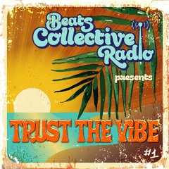 Trust The Vibe Episode 1 With Steve Egoavil