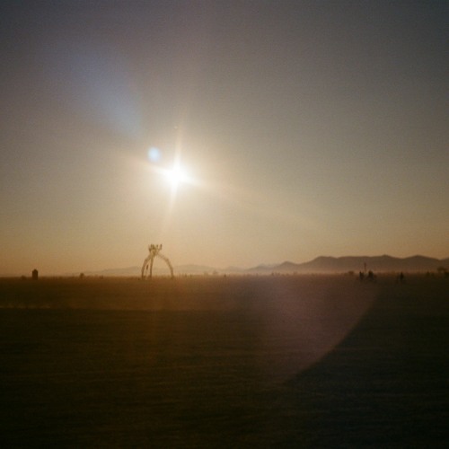 Dusty Haze