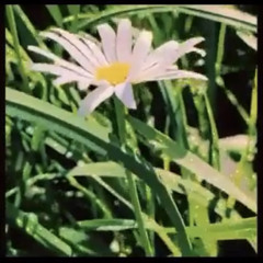 Only You (Prod.Raulito)