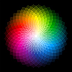Colors