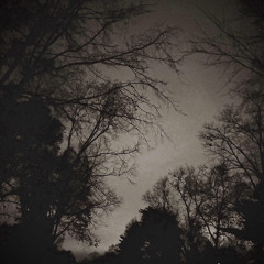 hold me in this quiet night