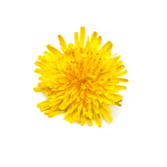 digital.maddie summer mix '25