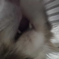 Las diferencias entre el río y yo