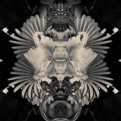 COSMIC FAMILY BLOOD VOL I - MONK .