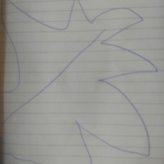 Box Of Leaves (2021)