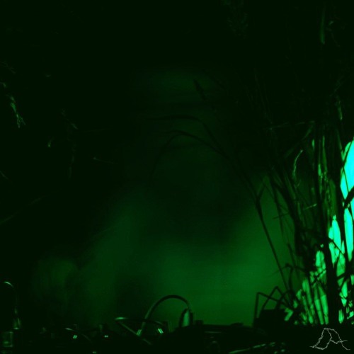 essèncid // Desma, kiki / 14.09.24