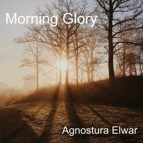 PR4 - Morning glory
