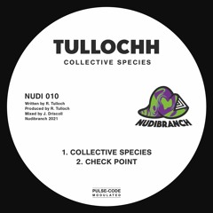 PREMIERE: Tullochh - Collective Species (Nudibranch Records)