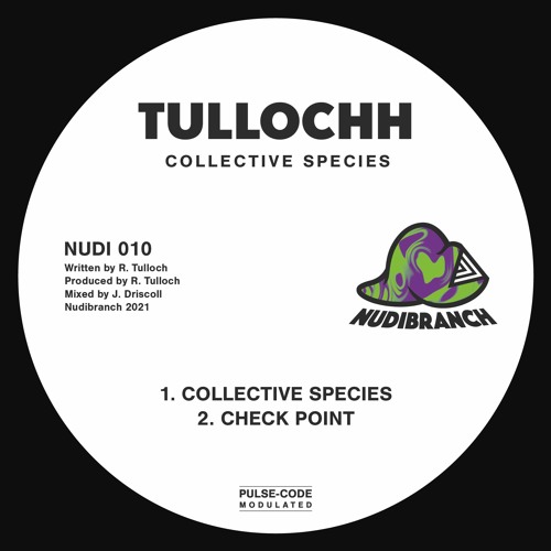 PREMIERE: Tullochh - Collective Species (Nudibranch Records)