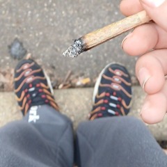 🍻🍃