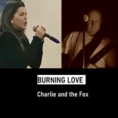 Burning Love ( Charlie and the Fox )