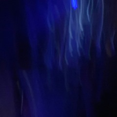 profundity - sanmal @ Forest Clock 7 Sep 2024