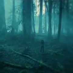 Далеко (Outro) @mynorth