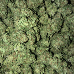 Weed & Brew (Prod. Lemon) Hosted by HOODRICH (Danny Wolf)