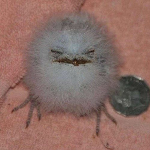 azali-abusing my ability to make music