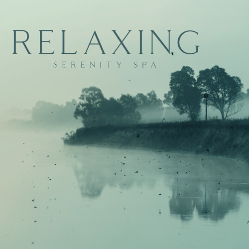 Stream Healthy Living by Relaxing Spa Music Zone | Listen online for ...