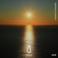 Luminous Tranquility