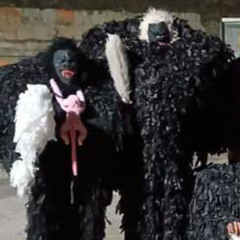 CARNAVAL 2025 TROPA DO 2Í & JHONN