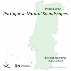 Portuguese Natural Soundscapes Project, Castro Verde, Spring 2011