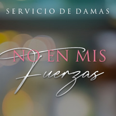 Tema | No En Mis Fuerzas