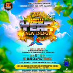 Team Brutal Live @ New Year New Energy 2024.mp3