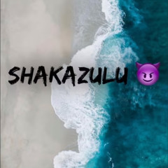 Tshock2XL-New drip Ft ZOG