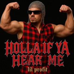Holla If Ya Hear Me