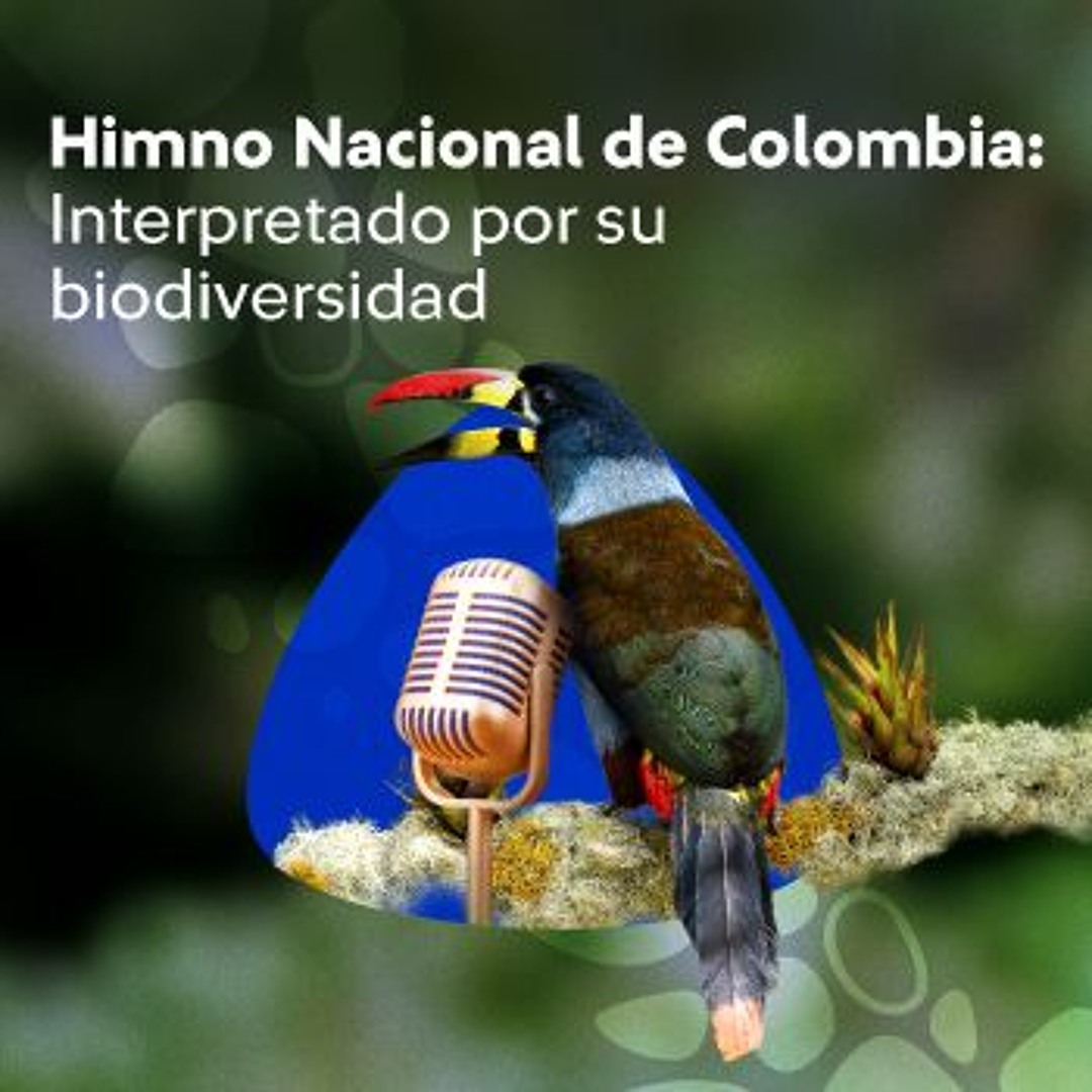 Himno de Colombia - Interpretado por su biodiversidad