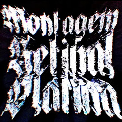 MONTAGEM RETINAL PLATINA