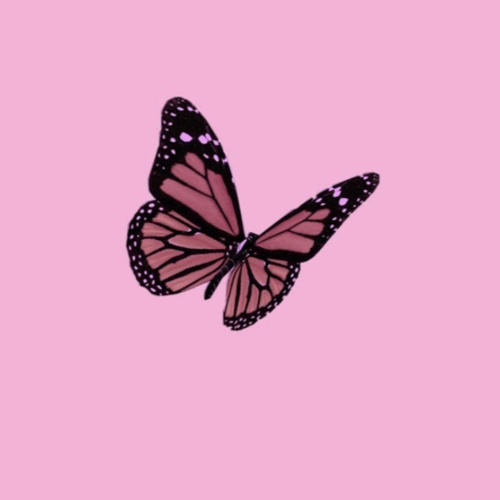 "What More Can I Say"