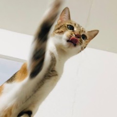 In Mother Nature We trust!