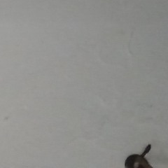 Apriltx
