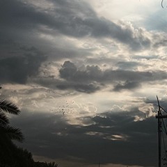 لا خبر