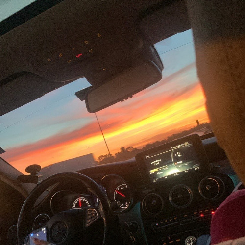 7AM IN THE BAY PROD. PURLS