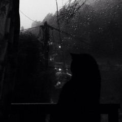 Its still raining? Why is it still raining?