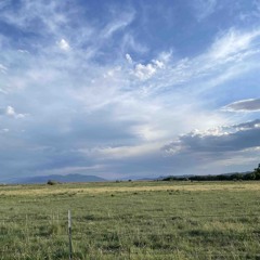 summer wind