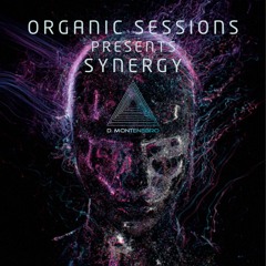 ORGANIC SESSIONS PRESENTS SYNERGY