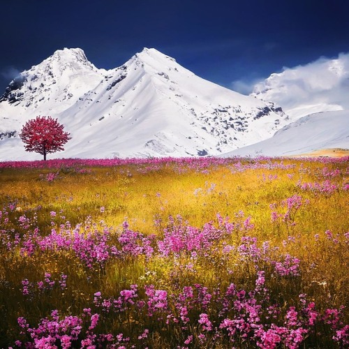 Flower Lover (2015) Anthology CD3 Track 05