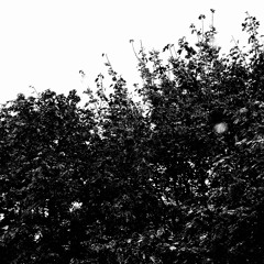 teeth (demo)