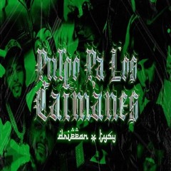 SombraPR - PULPO PA LOS CAIMANES 🐊