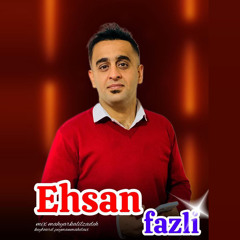 Ehsan Fazli - Remix Shad