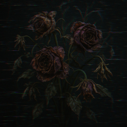 Rot in Bloom (prod p4ra x luffysome)