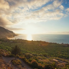 Voyagez demain n°5 : Tenerife (îles Canaries)avec Nieves Perdomo de l'office de tourisme de Tenerife
